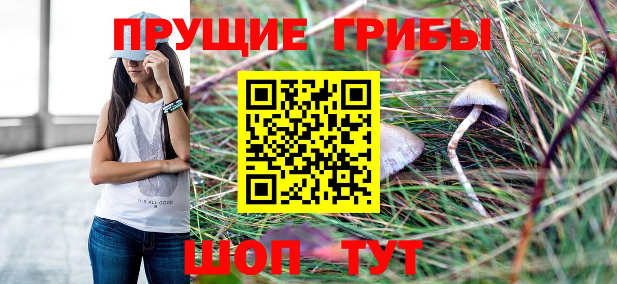Галлюциногенные грибы мухоморы Белгород
